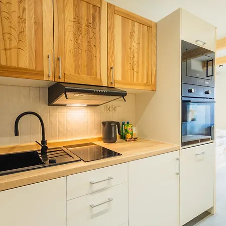 H900 - Tatra View Zakopane